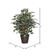 Vickerman 4' Artificial Variegated Extra Full Bush Rattan Basket