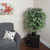Vickerman 4' Artificial Variegated Extra Full Bush Black Plastic Pot