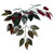 Vickerman 4' Artificial Capensia Extra Full Bush Rattan Basket