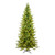 Vickerman 5.5' x 36" Balsam Spruce Slim Tree 650 Warm White Low Voltage 3MM LED Lights