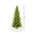 Vickerman 5.5' x 36" Balsam Spruce Slim Tree 650 Warm White Low Voltage 3MM LED Lights