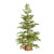 Vickerman 36" Cedar Pine Artificial Christmas Tree Unlit