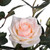 Vickerman 45" Artificial Pink Rose Plant in Pot