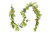  Vickerman 6' Artificial Mixed Olive Leaf Garland 