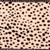 Vickerman 2.5" x 10 Yards Cream Cheetah Ribbon