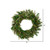 Vickerman 30" Cashmere Artificial Christmas Wreath Unlit