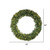 Vickerman 60" Cashmere Artificial Christmas Wreath with Warm White Dura-lit LED Lights