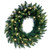  Vickerman 24" Camdon Fir Artificial Christmas Wreath with Warm White LED Mini Lights 