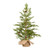 Vickerman 24" Cedar Pine Artificial Christmas Tree Unlit