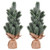 Vickerman 15" Frosted Spruce Sapling Artificial Christmas Tree Unlit 2 Pack