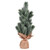 Vickerman 15" Frosted Spruce Sapling Artificial Christmas Tree Unlit 2 Pack