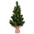 Vickerman 19" Spruce Sapling Artificial Christmas Tree 60 tips  Unlit