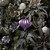 Vickerman 5.7" Lavender Matte Onion Christmas Ornament UV Treated with Drilled and Wired Cap 3 per bag