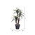  Vickerman 4' Artificial Marginata Extra Full Bush Rattan Basket 