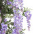  Vickerman 7' Artificial Purple Wisteria Tree in Black Planters Pot 