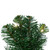  Vickerman 24" Oregon Fir Artificial Christmas Square Wreath Warm White LED Lights 