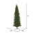  Vickerman 12' x 49" Eagle Fraser Slim Artificial Christmas Tree Unlit 