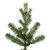  Vickerman 6.5' x 34" Eagle Fraser Fir Slim Artificial Christmas Tree Warm White Dura-lit LED Lights 