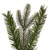 Vickerman 36" Douglas Fir Artificial UnLit Teardrop