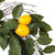  Vickerman 24" Artificial Green and Yellow Salal Leaf Lemon Wreath 