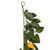 Vickerman 6' Artificial Green and Yellow Salal Leaf Lemon Garland
