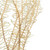 Vickerman 26" Bleached Fern - Andares 4 oz per pack Dried