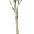 Vickerman 72" Artificial Green Olive Tree in Black Planters Pot