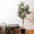 Vickerman 60" Artificial Green Olive Tree in Black Planters Pot