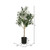 Vickerman 60" Artificial Green Olive Tree in Black Planters Pot