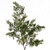 Vickerman 37" Artificial Green Cypress Sapling Potted