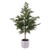  Vickerman 37" Artificial Green Cypress Sapling Potted 