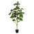  Vickerman 4' Artificial Potted Fig Tree 