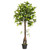  Vickerman 50" Artificial Potted Camellia Tree 