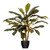 Vickerman 30" Artificial Real Touch Dracaena