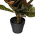 Vickerman 30" Artificial Croton Real Touch Potted Plant