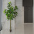 Vickerman 8' Artificial Potted Fiddle Tree 