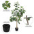 Vickerman 8' Artificial Potted Fiddle Tree