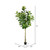 Vickerman 10' Artificial Potted Fiddle Tree