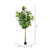  Vickerman 10' Artificial Potted Fiddle Tree 