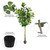  Vickerman 10' Artificial Potted Fiddle Tree 