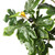 Vickerman 7' Artificial Potted Fig Tree