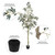  Vickerman 7' Artificial Potted Olive Tree 