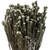 Vickerman 16-22" Natural Cotton Phylica Flower 4-5 oz Bundle Preserved