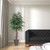 Vickerman 6' Artificial Ming Aralia Executive Rattan Basket