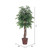 Vickerman 6' Artificial Ming Aralia Executive Rattan Basket
