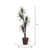  Vickerman 6' Artificial Marginata Executive Rattan Basket 