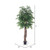 Vickerman 6' Artificial Ming Aralia Executive Black Plastic Pot