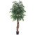 Vickerman 6' Artificial Ming Aralia Executive Black Plastic Pot