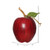 Vickerman 80MM Artificial Red Apple 6 per Bag