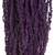 Vickerman 30" Violet Amaranthus Bundle Preserved